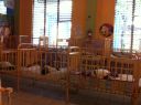 Filename=IMG_1397.JPG
Filesize=1872KiB
Dimensions=2592x1936
Date added=Feb 13, 2014 IMG_1397.JPG